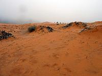 coral pink dunes (3).JPG